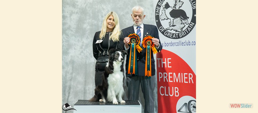 Border Collie Club of Great Britain