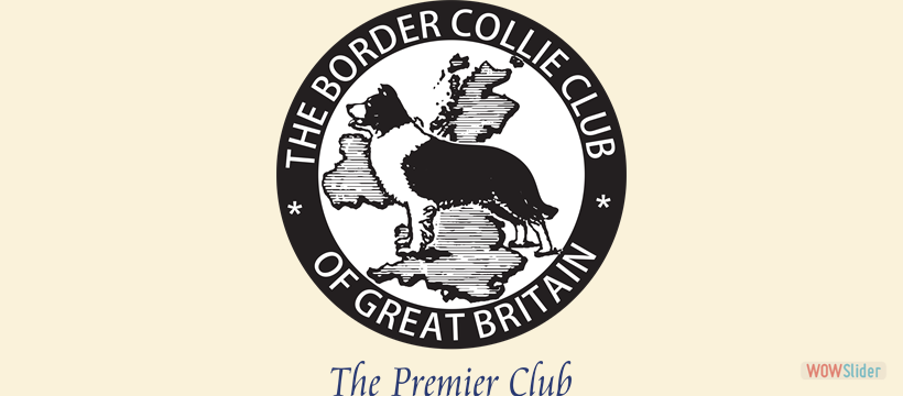 Border Collie Club of Great Britain