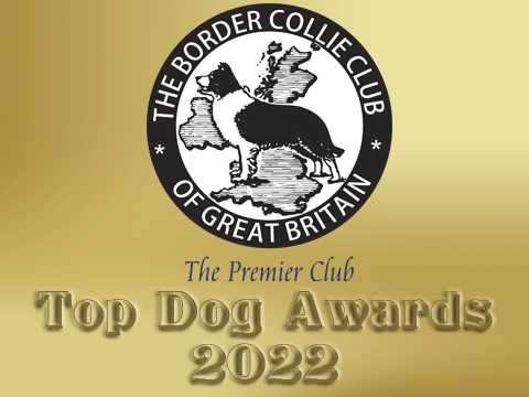 Border Collie Club of Great Britain